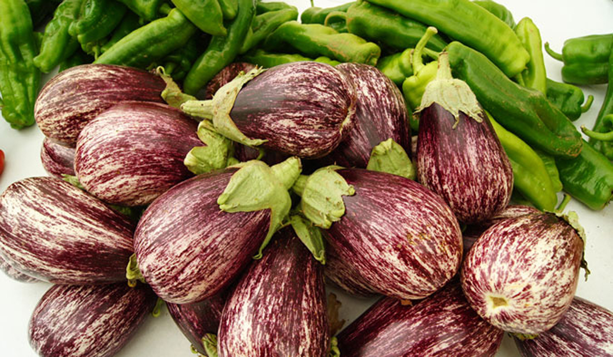 Pimientos y berenjenas