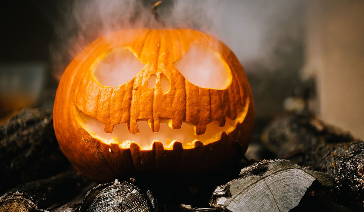 Cultivo de las calabazas decorativas | Jardinería TOT en U en Valencia Cultivo de las calabazas decorativas | Jardinería TOT en U en Valencia
