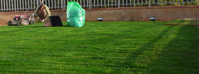 Instalación de césped en tepe Instalación de césped en tepe