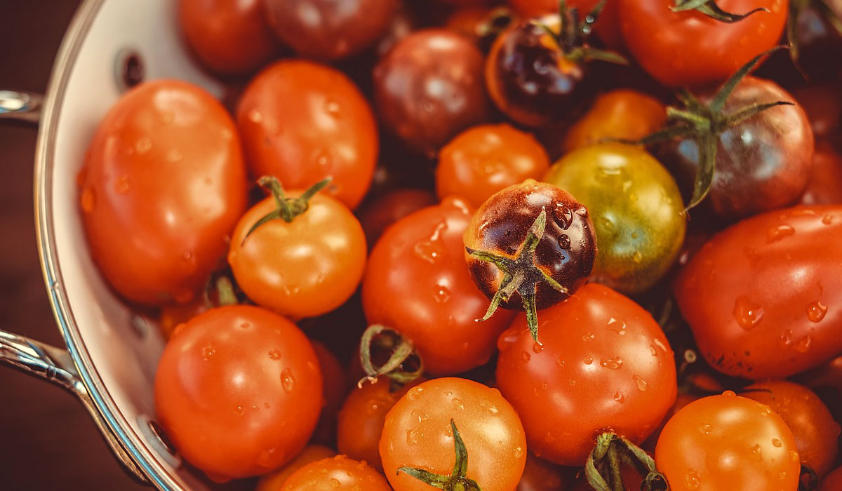 Clases de tomate