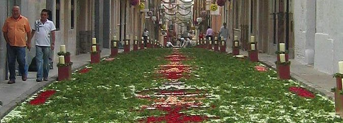 Decoración de calles con plantas y flores Decoración de calles con plantas y flores