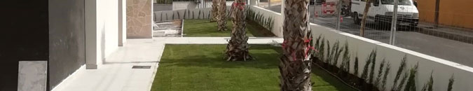 Jardín con planta natural en 24 horas