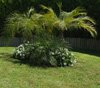 Jardinería y paisajismo