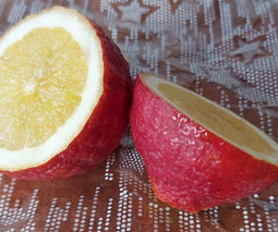 Limón rojo (Citrus limón ‘Rosso’)