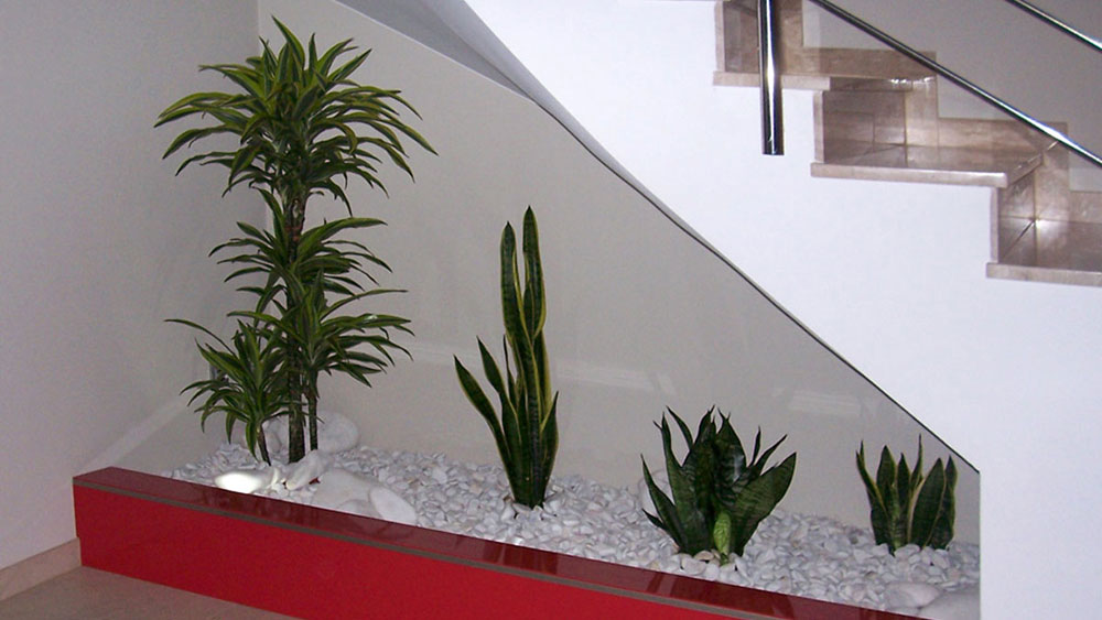 Plantas de interior