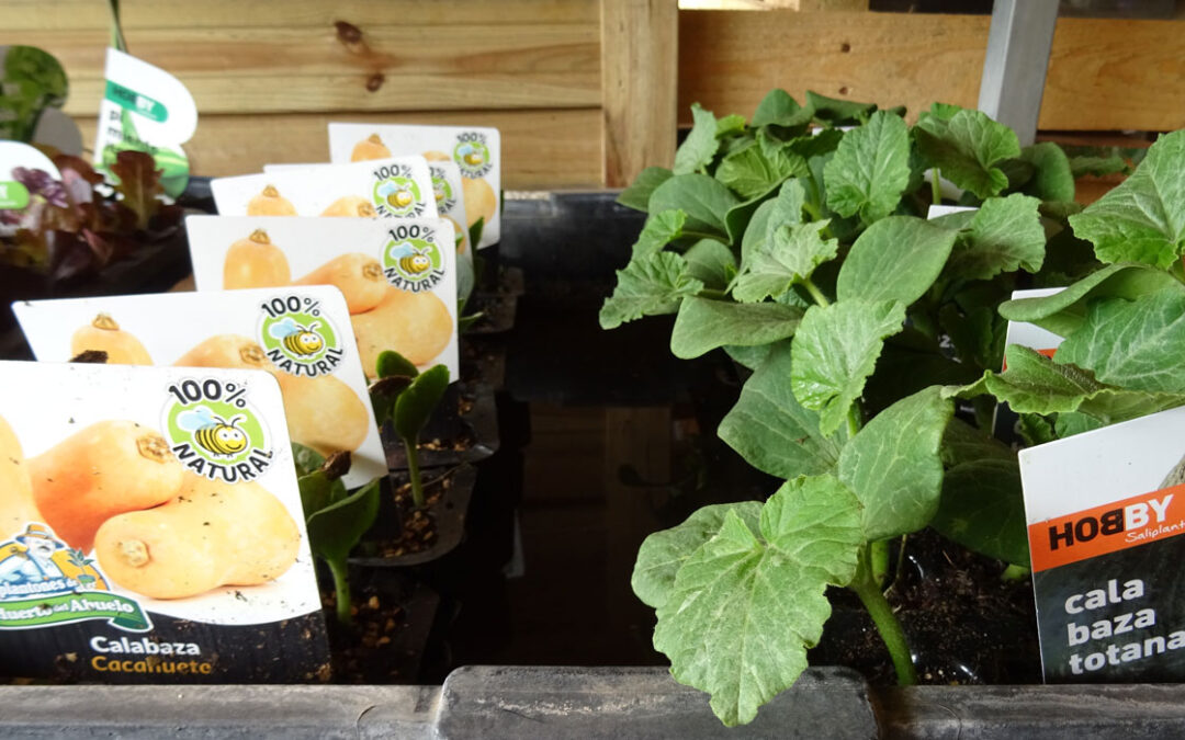 Planteles hortícolas para otoño e invierno