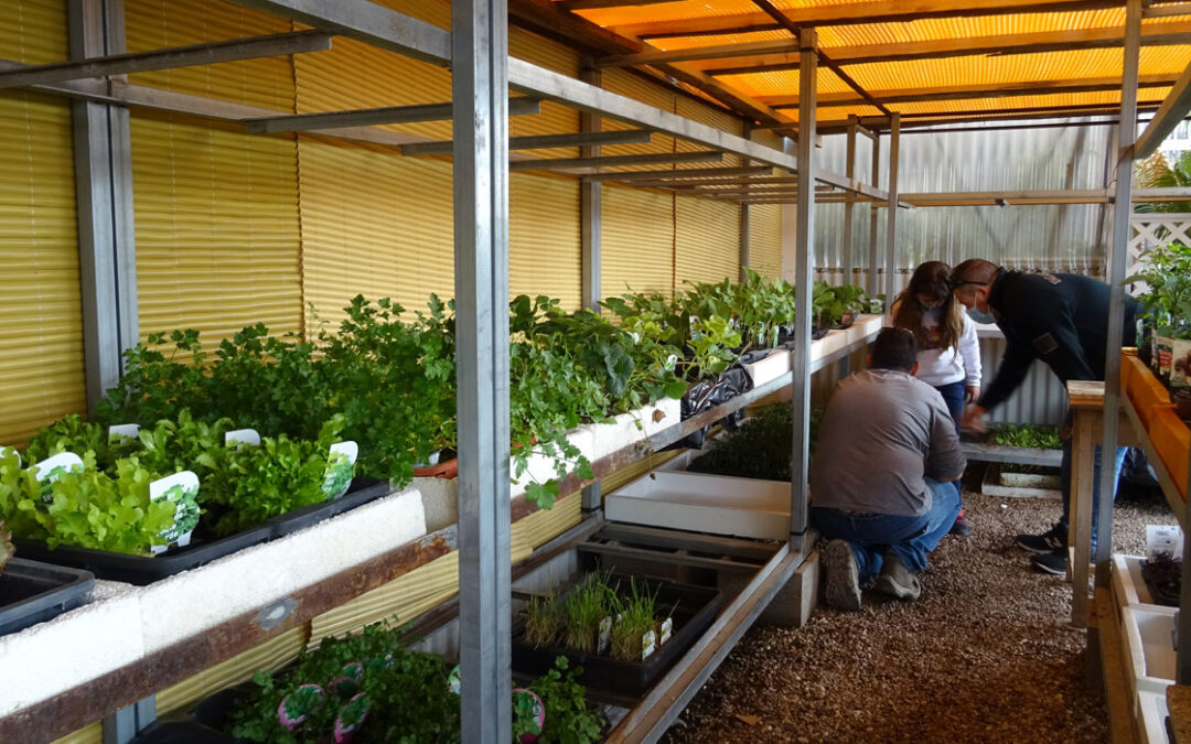 Planteles horticolas en TotenU