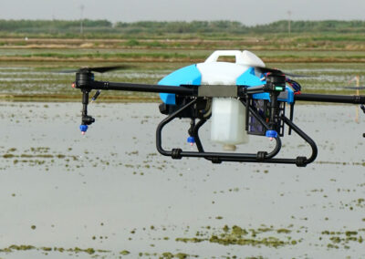 Tratamiento sobre arrozales con dron