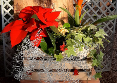 Centro de Navidad en Tot en Ú
