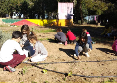 Plantación hortalizas, La Comarcal