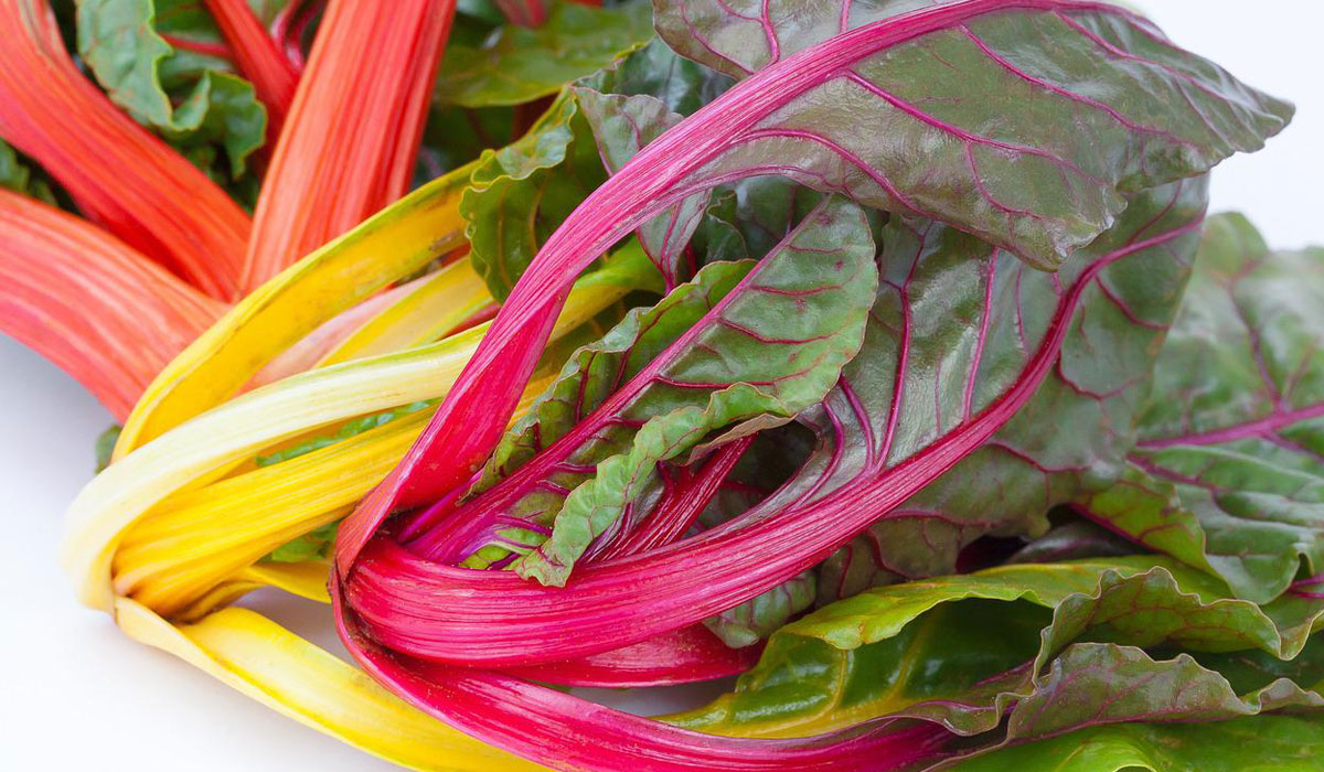 Acelgas de colores