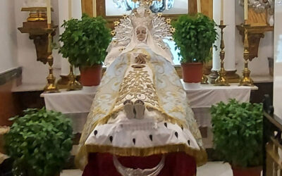 Albahacas para la Fiesta de la Asunción de María