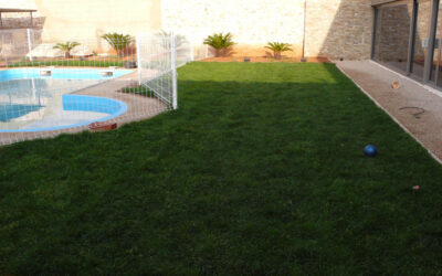 Plantación de césped con éxito