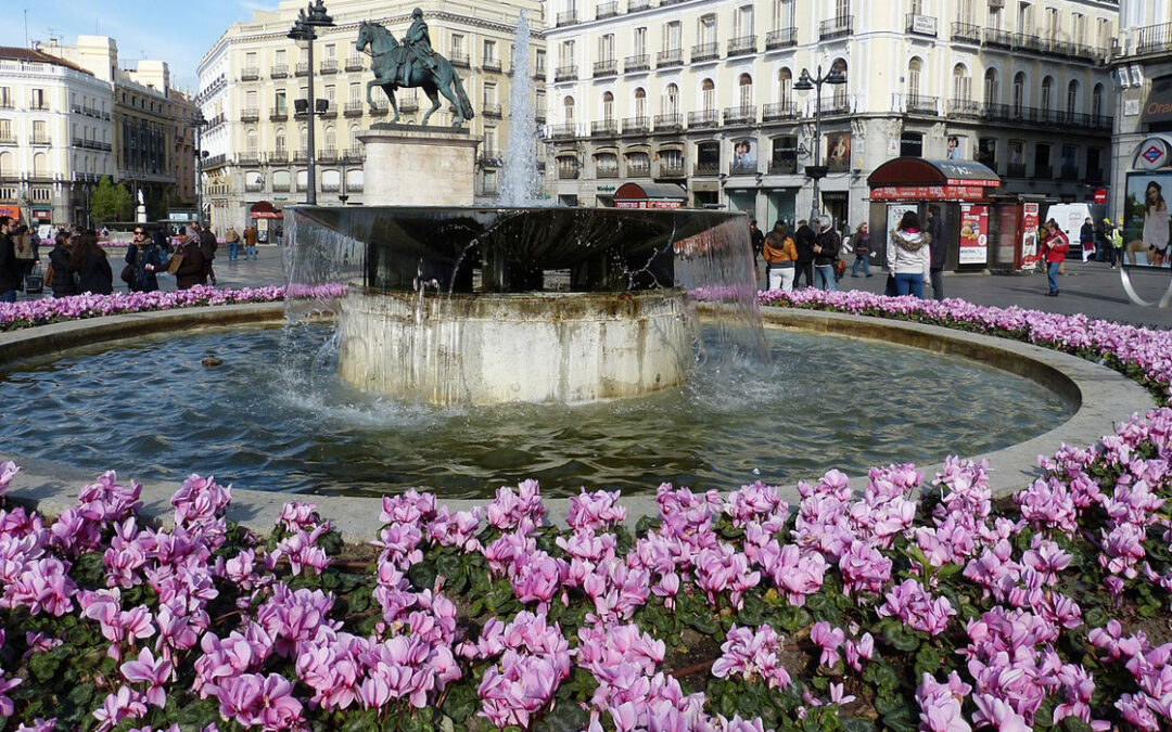 Cyclamen, flores de invierno | Jardinería TOT en U en Valencia