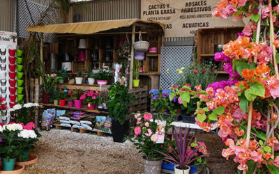 25 años de Jardinería Tot en U