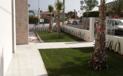 Jardín con planta natural en 24 horas