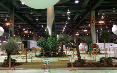 Jardinería paisajística en interiorismo