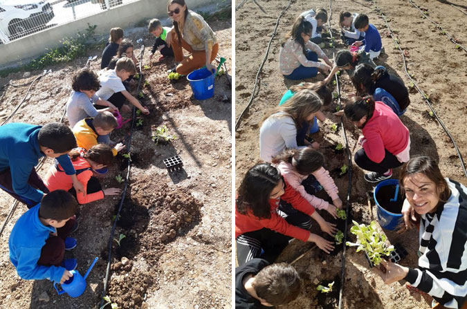 Plantación de hortalizas en el CEIP Jaume I de Alcasser