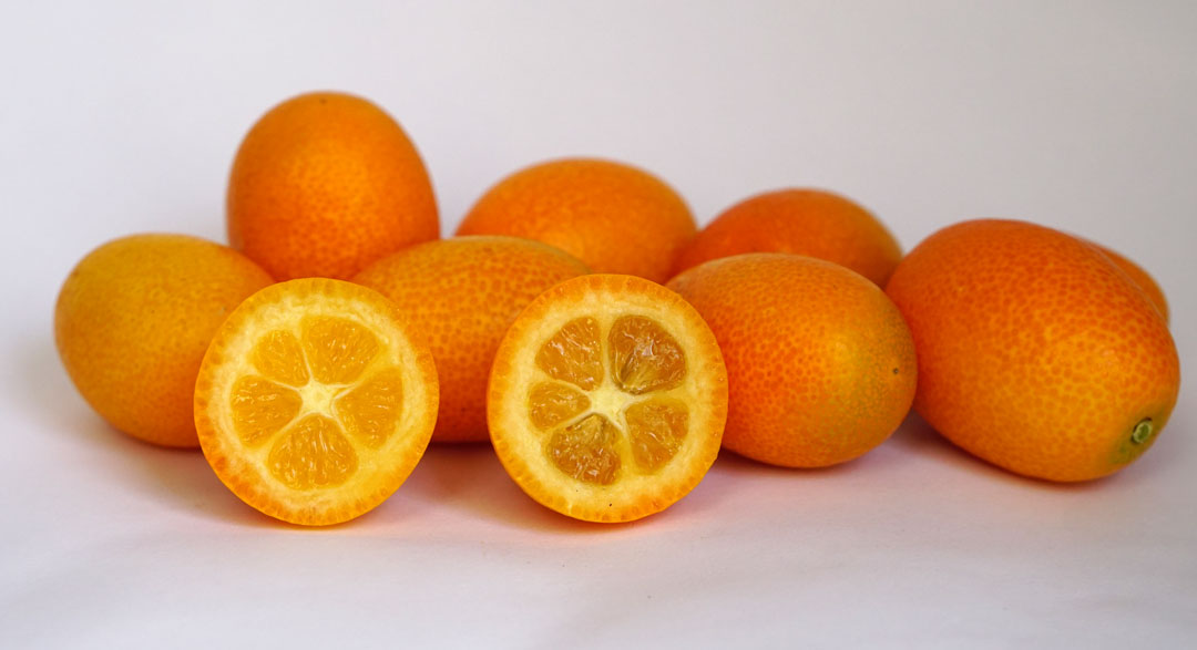Kumquat en Tot en Ú