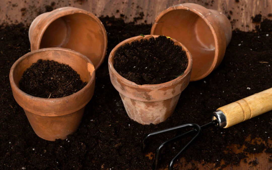 Macetas barro y sustrato en TotEnU