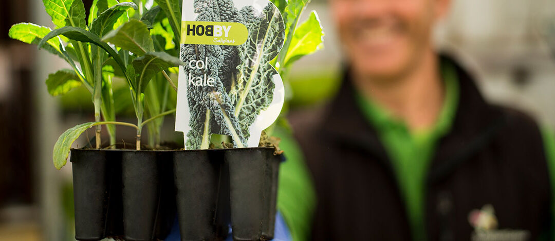 Planteles hortícolas