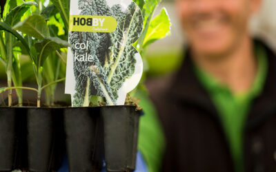 Planteles hortícolas