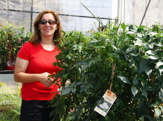 Practicas en un centro de jardinería